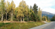 L43 Crow Creek Road Girdwood, AK 99587 - Image 10805228