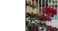 1100 SW 104 CT # 203 Miami, FL 33174 - Image 10825331