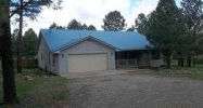 111 Alto Pines Trl Alto, NM 88312 - Image 10825544