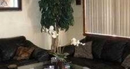 1500 Se 2nd Ter Lees Summit, MO 64063 - Image 10839032