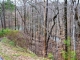 Cliffs Fs Towne Landing Lt 22 Salem, SC 29676 - Image 10841519