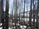 43 Gloria Place Lot 26, Blk 26, F4, Crested Butte Crested Butte, CO 81224 - Image 10858754