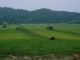 29142 Lee Highway Meadowview, VA 24361 - Image 10868718