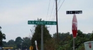 505 Olde Pucketts Ferry Rd Greenwood, SC 29649 - Image 10871441