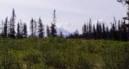 883 Goldberry Court Homer, AK 99603 - Image 10878527
