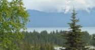 4430 E Hill Road Homer, AK 99603 - Image 10888206