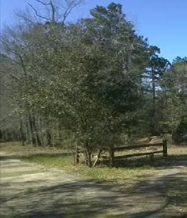 2810 Confederate Drive - Image 10905139