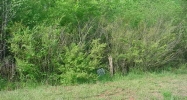 0 Almaroad SW Place #105 Jacksonville, AL 36265 - Image 10908513