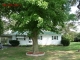 32883 Murray Rd Frankford, DE 19945 - Image 10917531