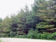 6797 Kopp Rd Waunakee, WI 53597 - Image 10920951