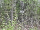 18264 Loveall Loop Clam Gulch, AK 99568 - Image 10923773