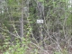 18264 Loveall Loop Clam Gulch, AK 99568 - Image 10923773