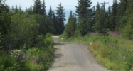 41039 Laramie Circle Homer, AK 99603 - Image 10924162