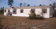 7362 Mount Pleasant Rd Hortense, GA 31543 - Image 10928925