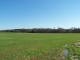 Hwy 22 Flora, MS 39071 - Image 10930532