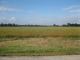 Lot 3 Ecker Lakeland Drive Chilton, WI 53014 - Image 10931991