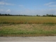 Ecker Lakeland Drive Chilton, WI 53014 - Image 10931989