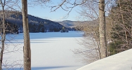 546.L 260 Kingdom Rd Plymouth, VT 05056 - Image 10936611