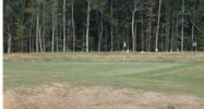 500 SILVER CYPRESS CIR Summerville, SC 29485 - Image 10940597