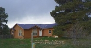 154 Woodsman Drive Pagosa Springs, CO 81147 - Image 10946448