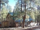 County Road 1016 Greer, AZ 85927 - Image 10948446