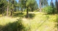 Lot 3 Bel Tane Cove Aka Nna Bel Tane Cove Sagle, ID 83860 - Image 10950057