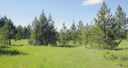 NNA N Sand Creek Drive Spirit Lake, ID 83869 - Image 10951454