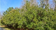 4009 COLONEL VANDERHORST CIR Mount Pleasant, SC 29466 - Image 10952284