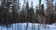 13850 E Wilderness Lane Palmer, AK 99645 - Image 10959530