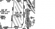 0 GOLDEN RICE LN Ravenel, SC 29470 - Image 10967090