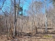 16  Unicorn Farm Rd Asheville, NC 28805 - Image 10968306