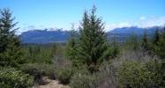 NF-4510 Rd Nelson, CA 95958 - Image 10972560