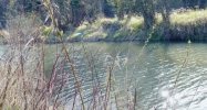 304 SHEPHERD RD Saint Maries, ID 83861 - Image 10972840