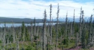 L3 Mel Drive Homer, AK 99603 - Image 10984288