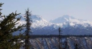 28721 Caribou View Lane Homer, AK 99603 - Image 10984290