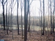 6610 S BARBARA DR #LOT 23 Alburtis, PA 18011 - Image 10985712
