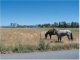 351 Scenic Avenue Santa Rosa, CA 95407 - Image 10986442