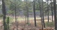 Lot 650 Brookfiel Southern Pines, NC 28387 - Image 10988849