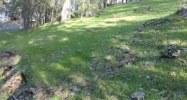 19589 Cottonwood St Groveland, CA 95321 - Image 10989525