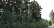 L12 B25 Timberline Drive Girdwood, AK 99587 - Image 10991827
