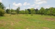 0 County Rd 707 Cullman, AL 35055 - Image 10992798
