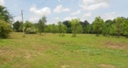 00 CO Rd 707 Cullman, AL 35055 - Image 10995273