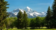 3750 W BOYLES HILL RD Jackson, WY 83001 - Image 10995466