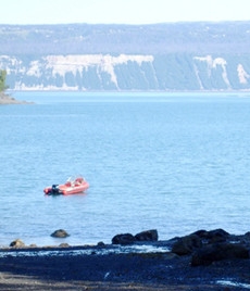 Bear Cove - Image 10996794