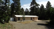 640 Weasel Drive Pagosa Springs, CO 81147 - Image 10997803