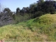 2350 W Lake Shore Ave Los Angeles, CA 90039 - Image 10998018