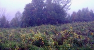 2199 River Road Irasburg, VT 05845 - Image 11000579