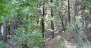 22443 Ponderosa Drive Twain Harte, CA 95383 - Image 11002941