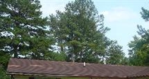 175 Lindsey Cir - Image 11003000