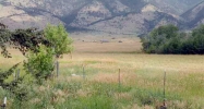 350 Bridger Lodge Trail Bozeman, MT 59715 - Image 11003821